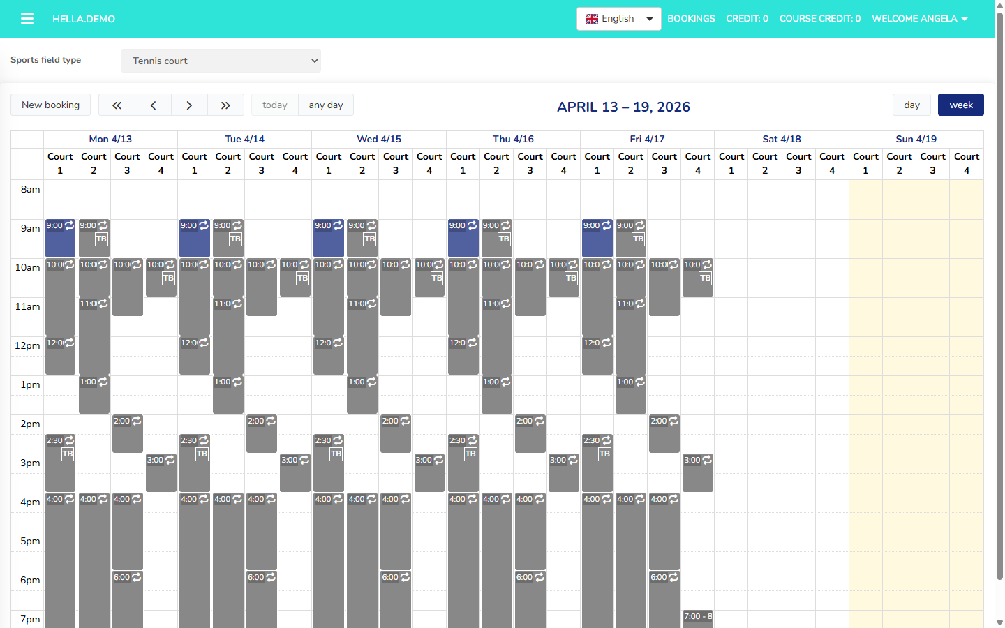 Booking calendar — week view